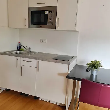 公寓 Simplex Buergerstrasse